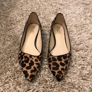 Cole Haan Leopard Print Calf Hair Pointed Toe Flat